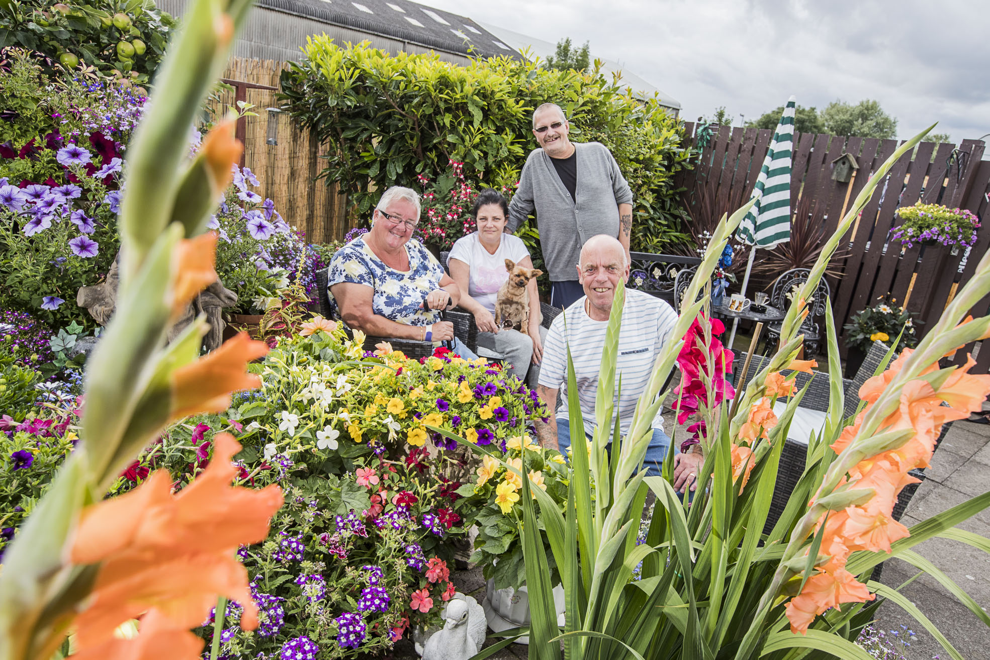 Green-fingered tenants dig their way to victory