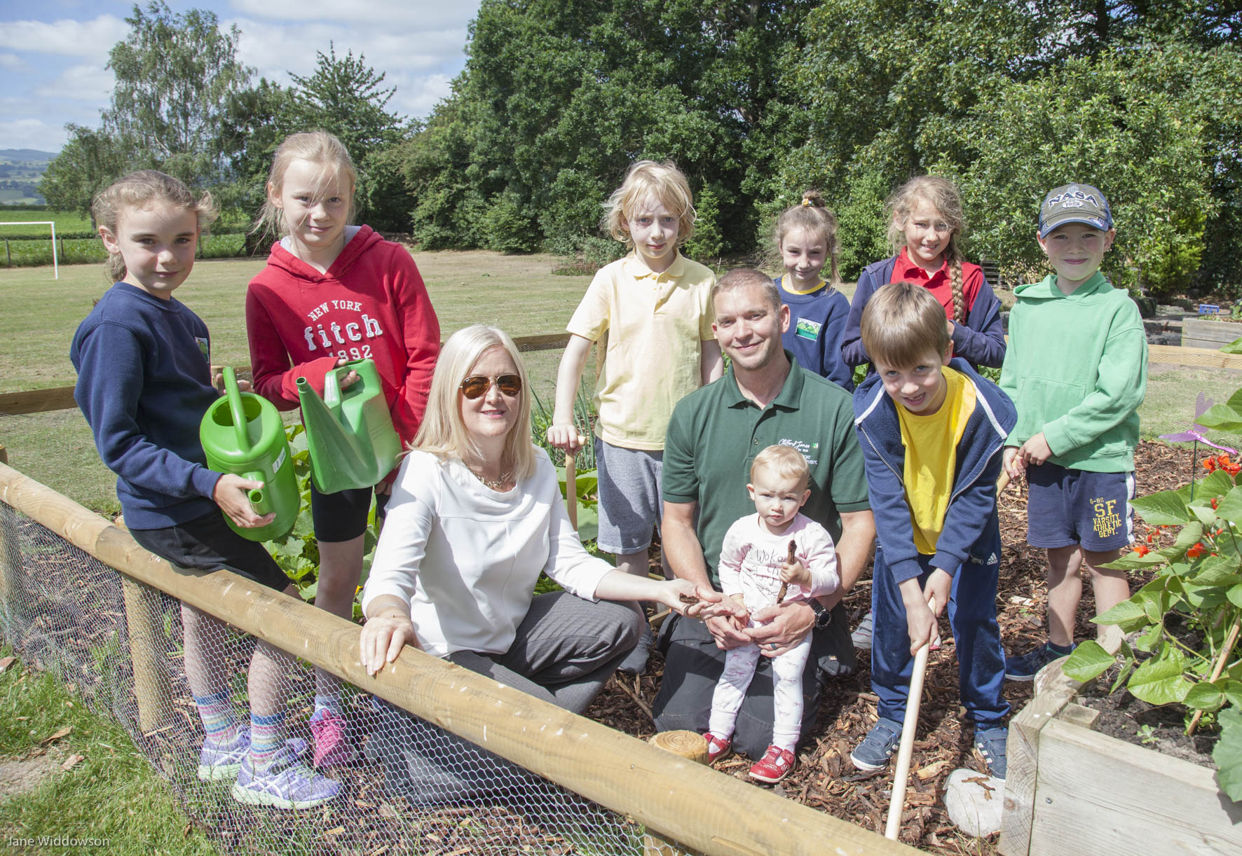 Timber company save children’s vegetables from ravenous rabbits