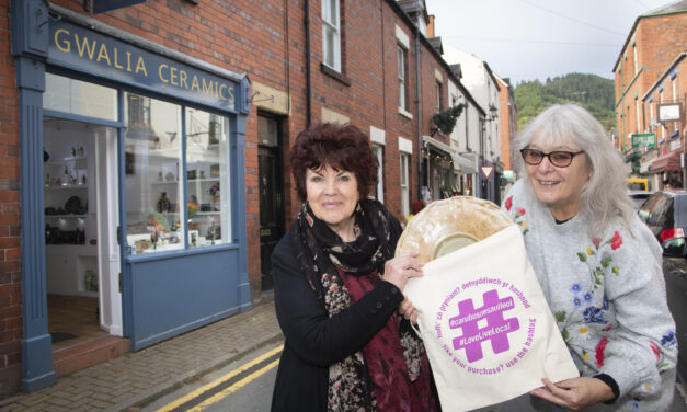 Rich wildlife of Denbighshire inspires work of Llangollen potters