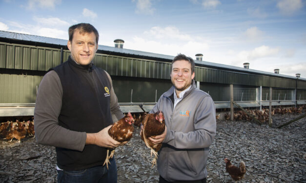 Underfloor heating from green energy keeps Llyr’s hens happy and laying