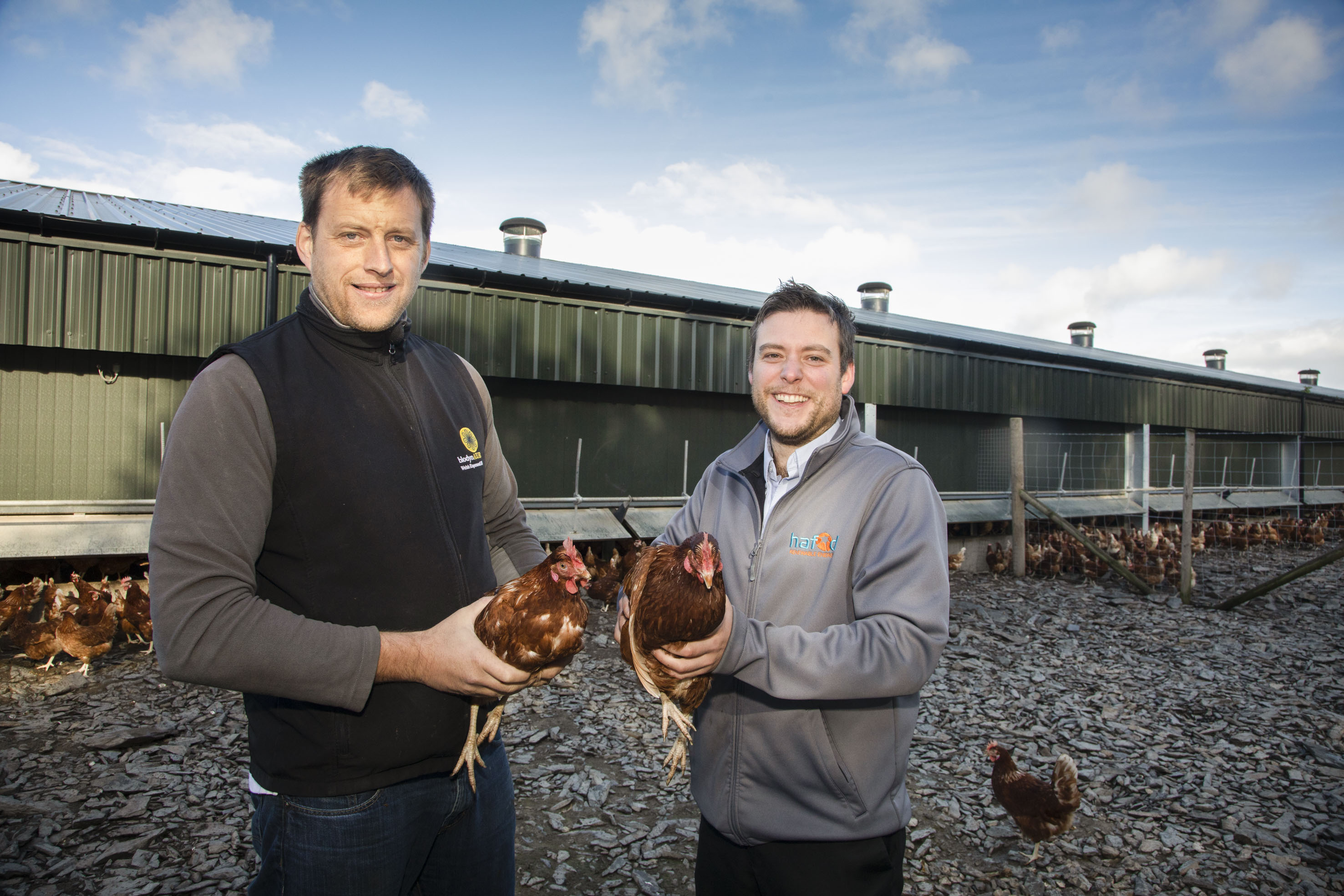 Underfloor heating from green energy keeps Llyr’s hens happy and laying
