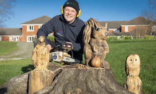 Chainsaw sculptor creates a magnificent menagerie