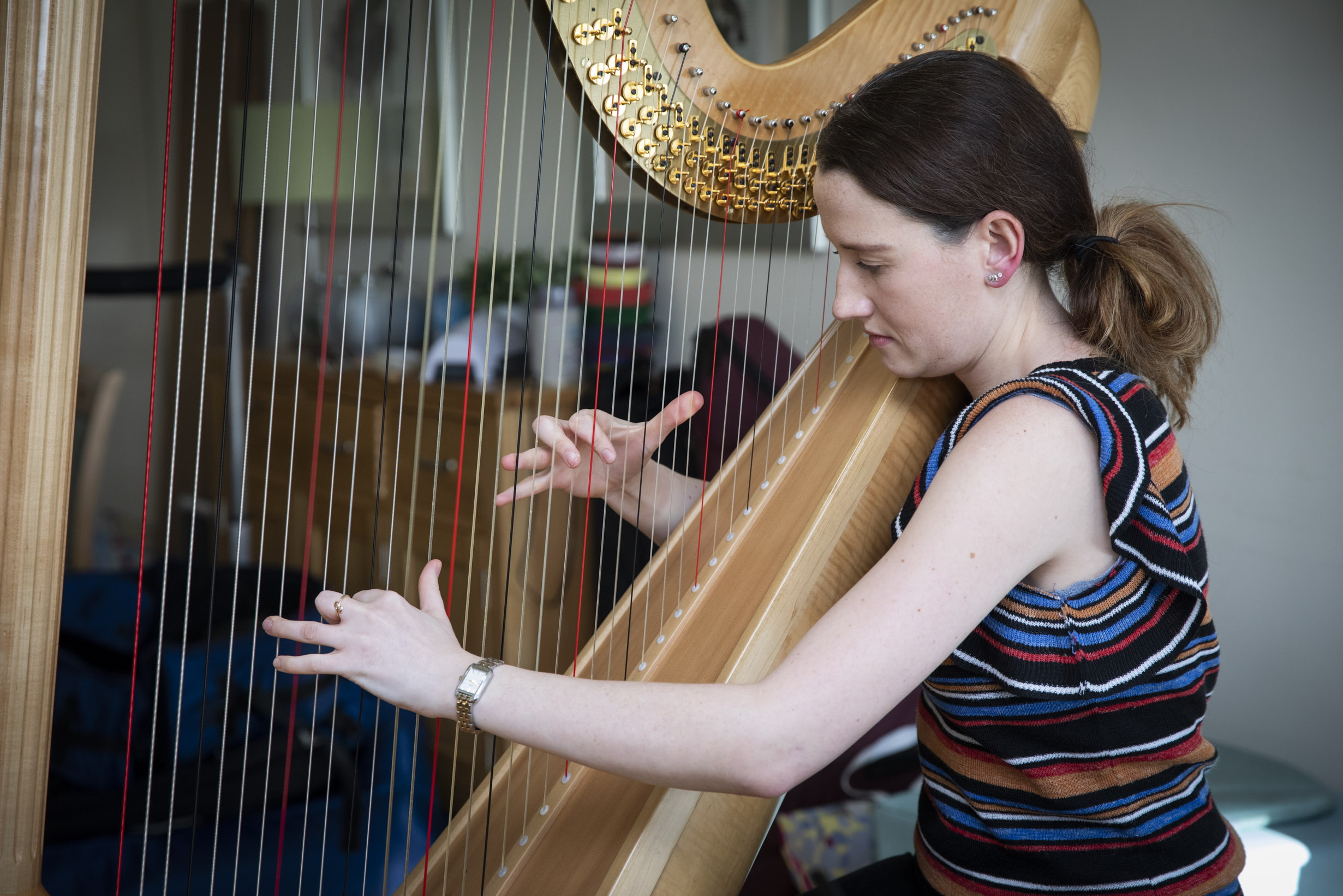 Top harpist swaps Albert Hall for Caernarfon care home