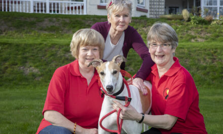 Rescued greyhound racer Dexter loves life in slow lane at care home