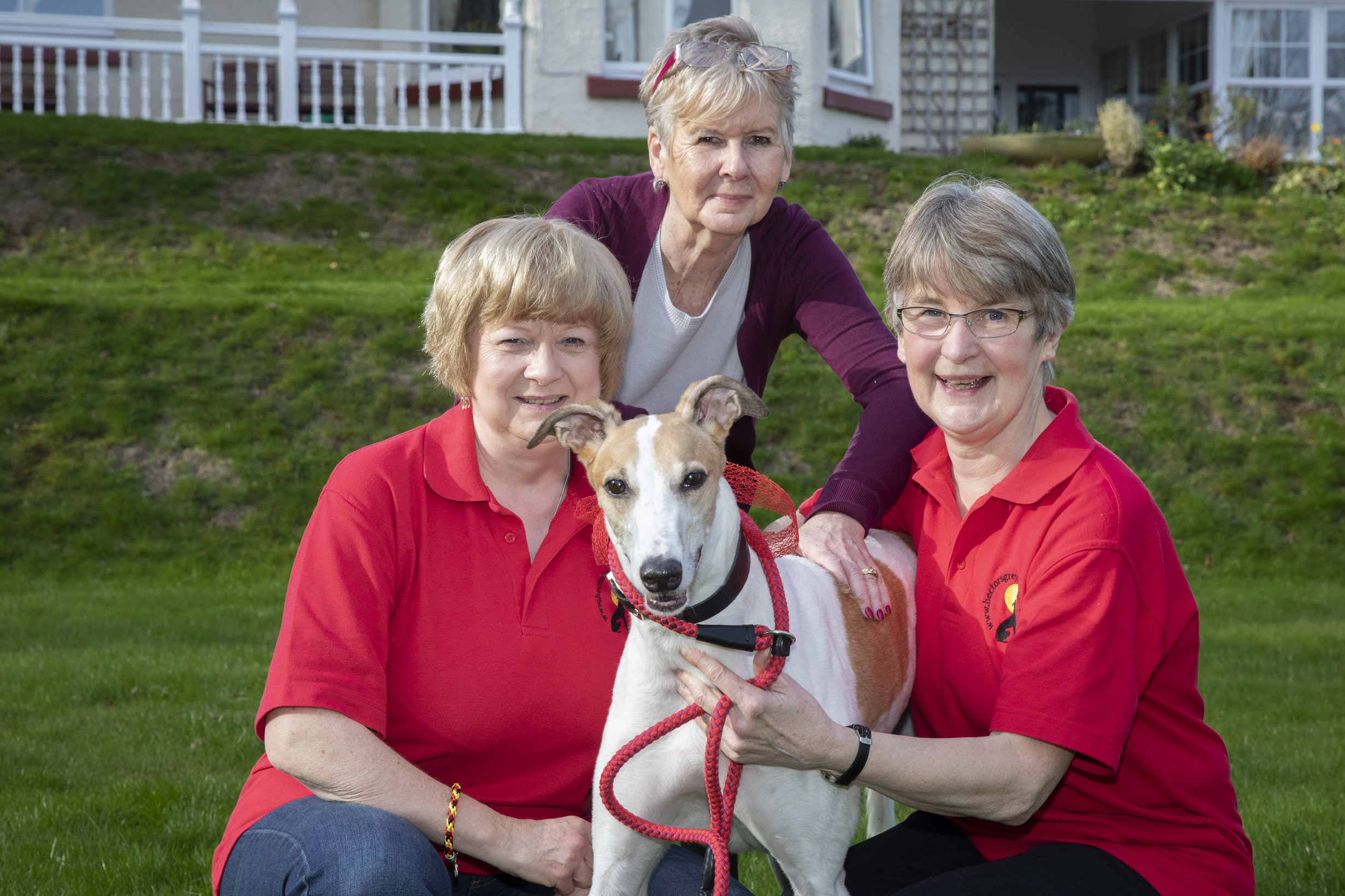 Rescued greyhound racer Dexter loves life in slow lane at care home