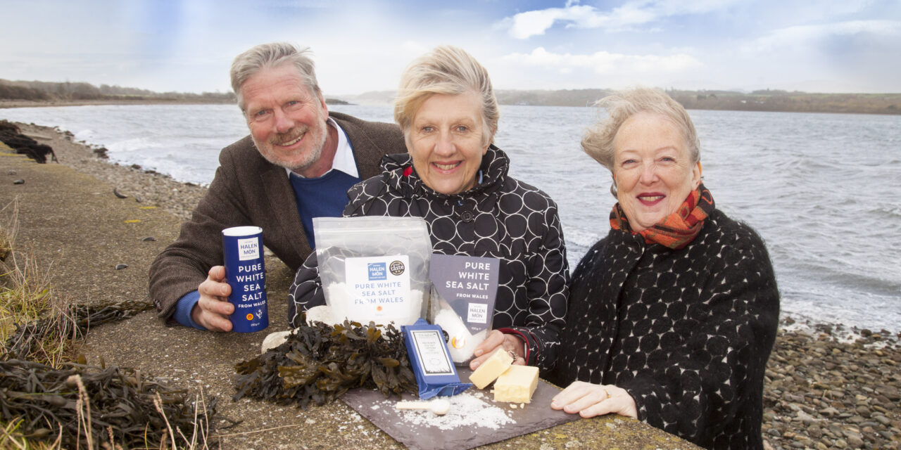 First seasalt cheese made with Welsh Halen Mon salt and Welsh Dragon cheese launched