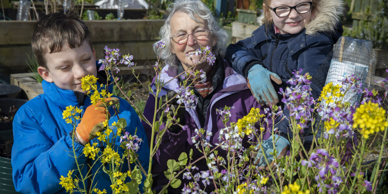 TV bushcraft star and award-winning gardeners on the joy of volunteering