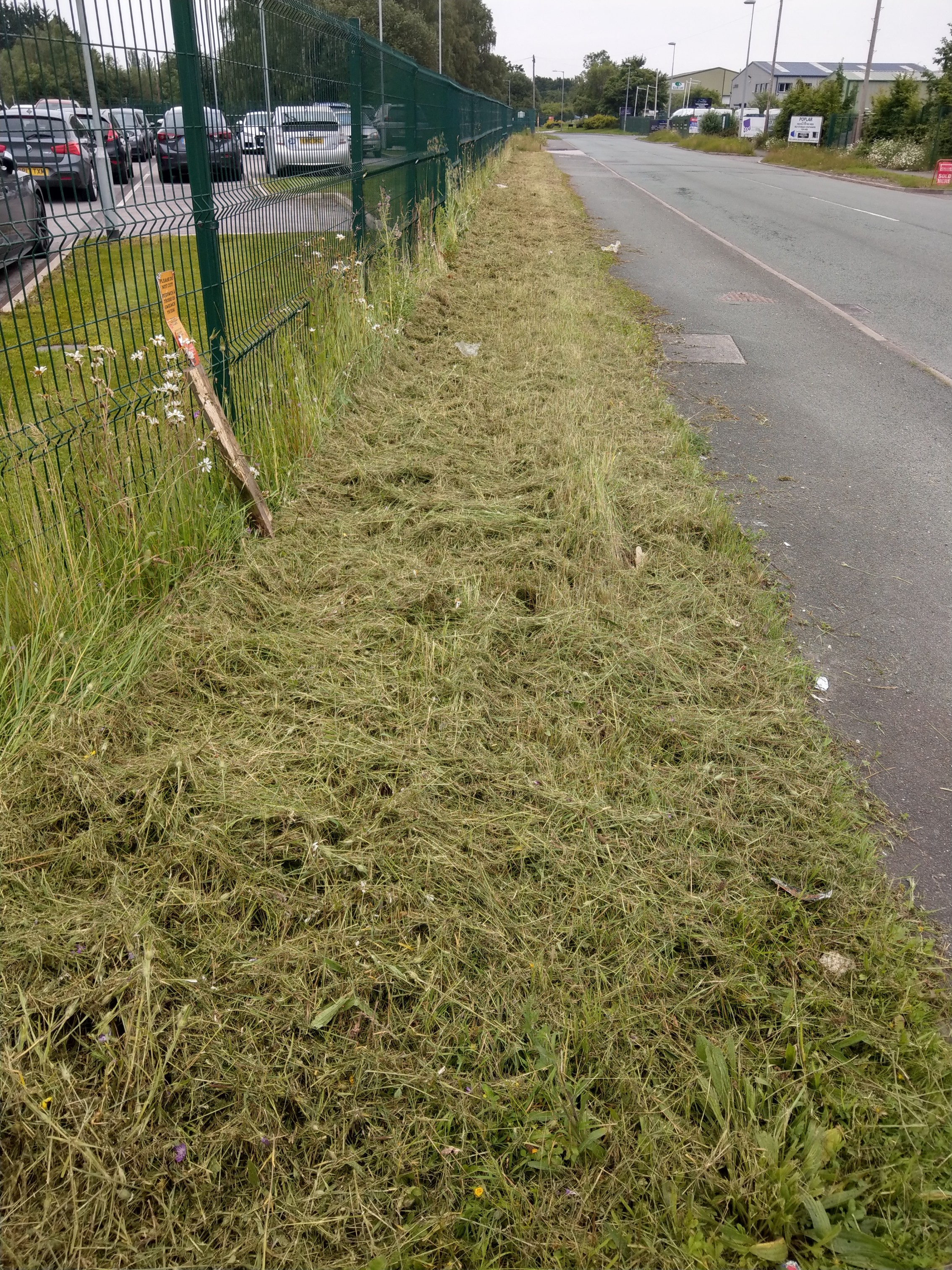 Bakery blasts council for mowing down habitat of endangered butterfly