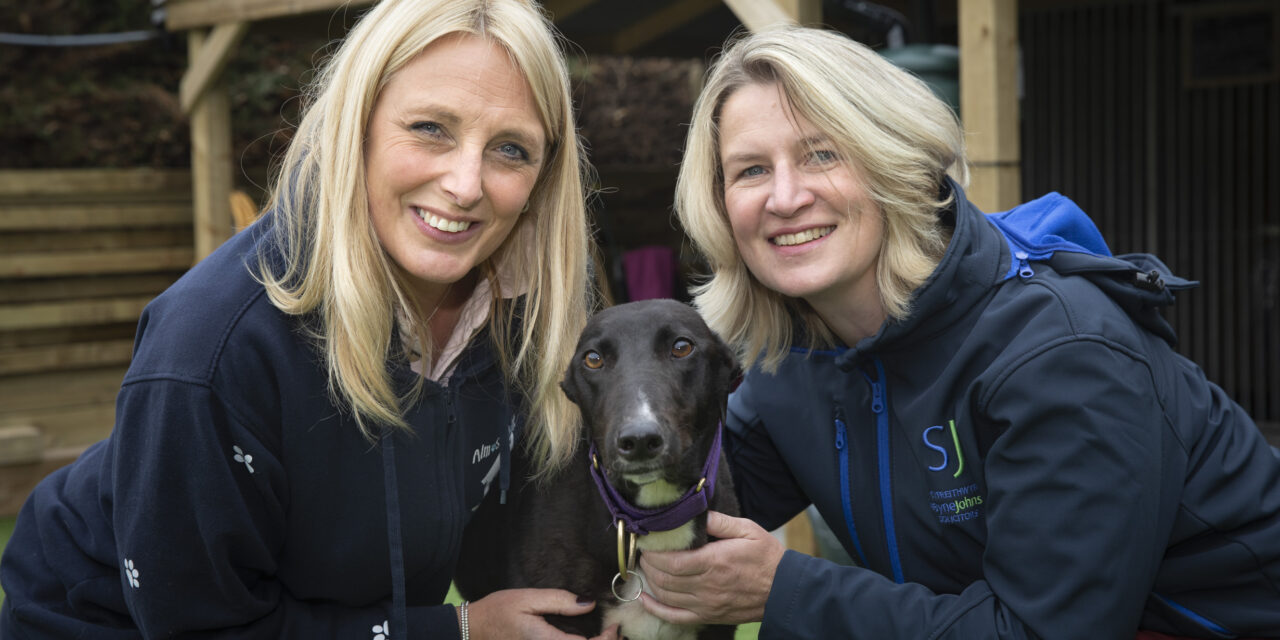 Cash boost for charity which rescues greyhounds from the food shops of China