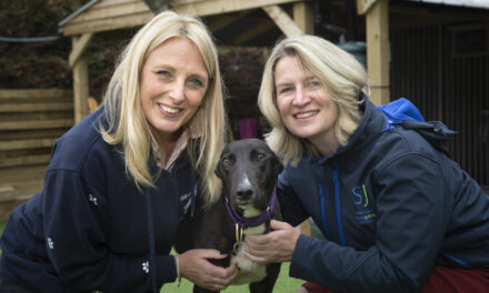 Cash boost for charity which rescues greyhounds from the food shops of China