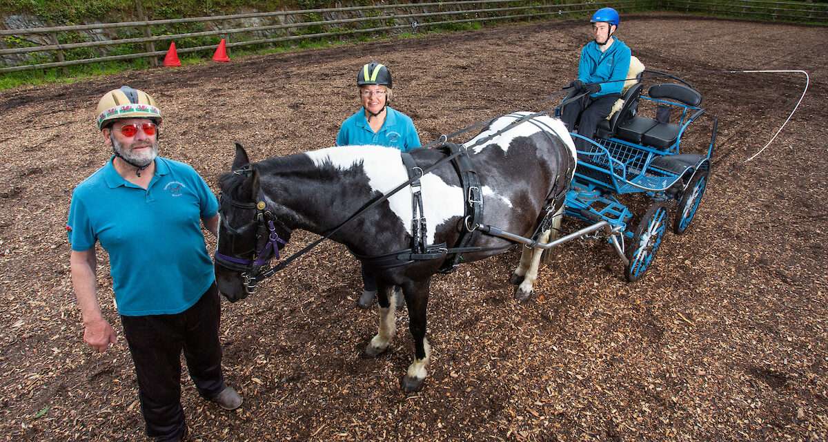 Carl qualifies for world’s biggest competition for disabled carriage drivers