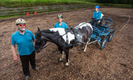 Carl qualifies for world’s biggest competition for disabled carriage drivers