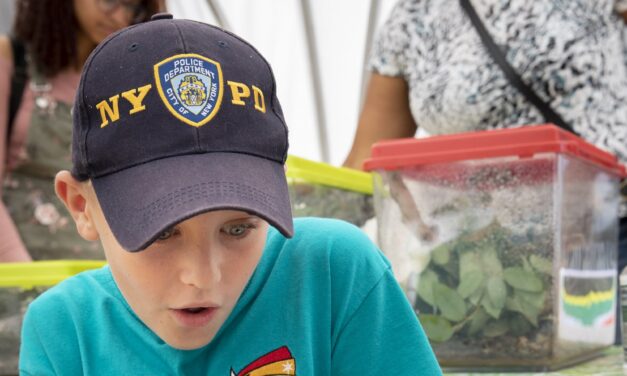 Callum braves encounter with giant bugs at free event raising money for charity which helps his brother