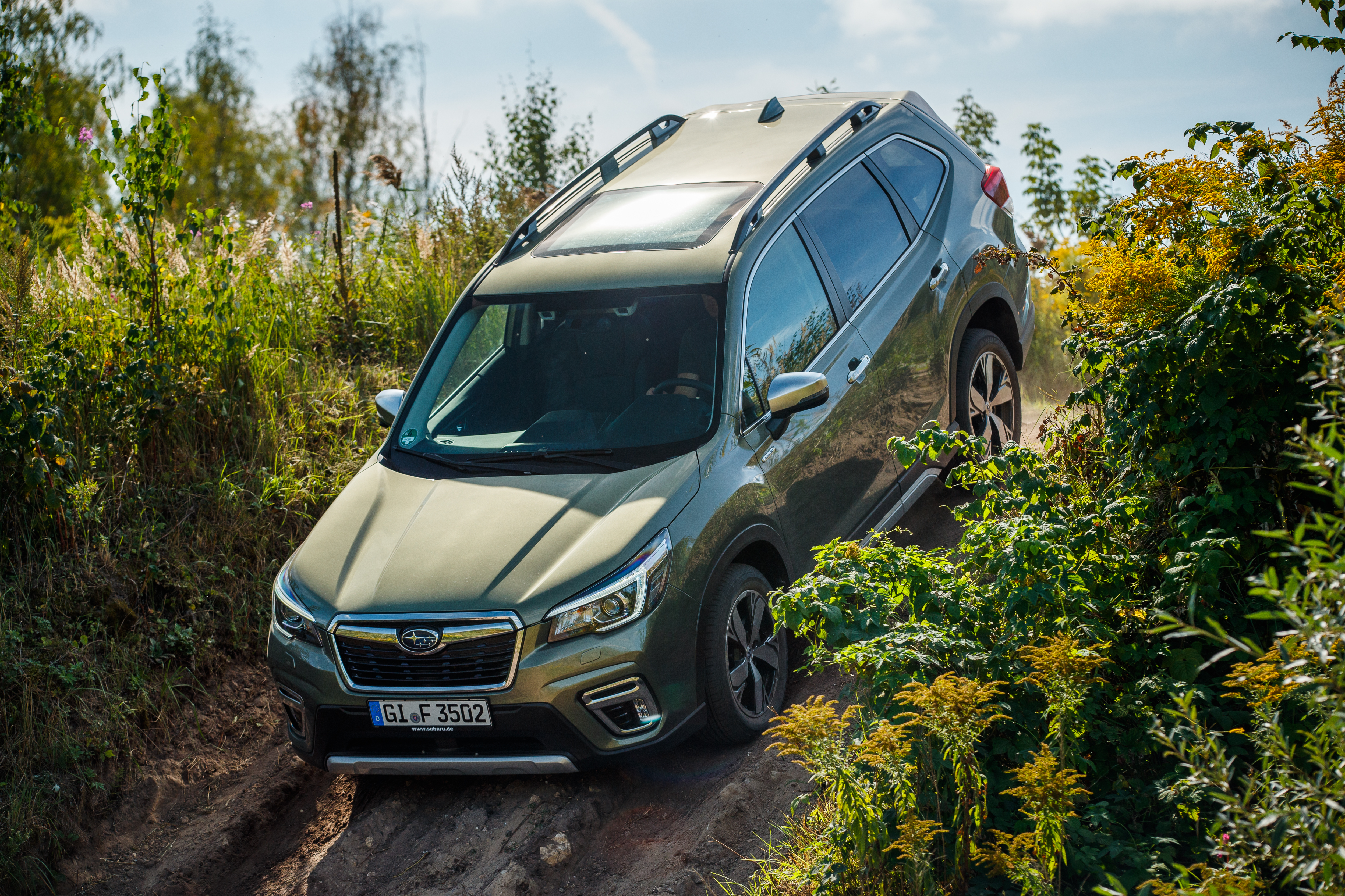 Subaru launch news by Steve Rogers