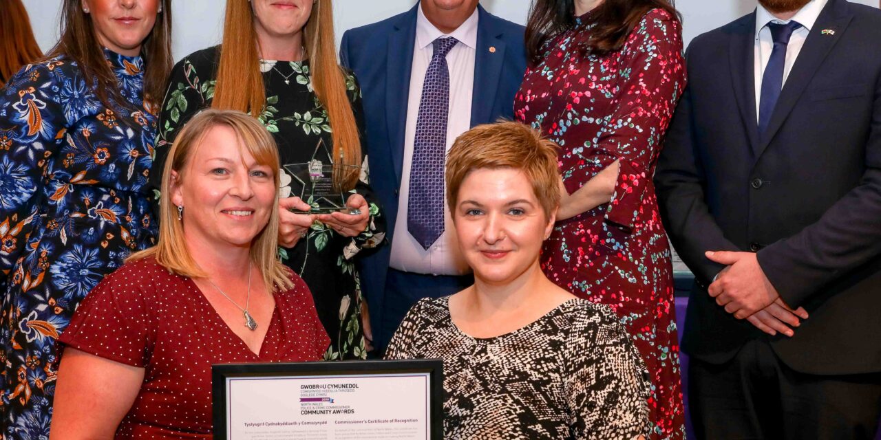 Support service for lonely people wins major award
