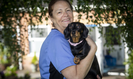 Caring Sharon pays tribute to pet dog Bebe after being shortlisted for award 