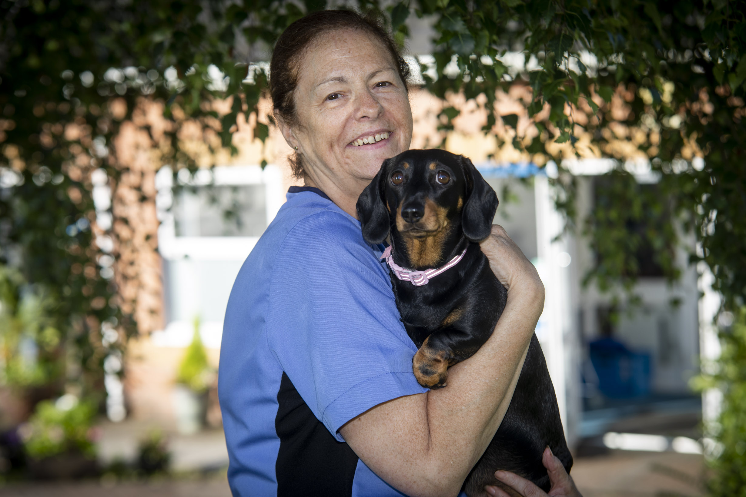 Caring Sharon pays tribute to pet dog Bebe after being shortlisted for award 