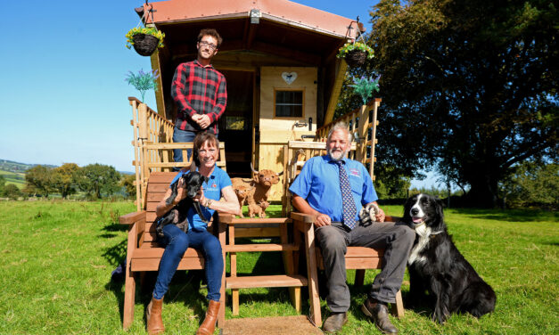 Shear genius! Sheep farmer creates perfect rural hideaway – on wheels