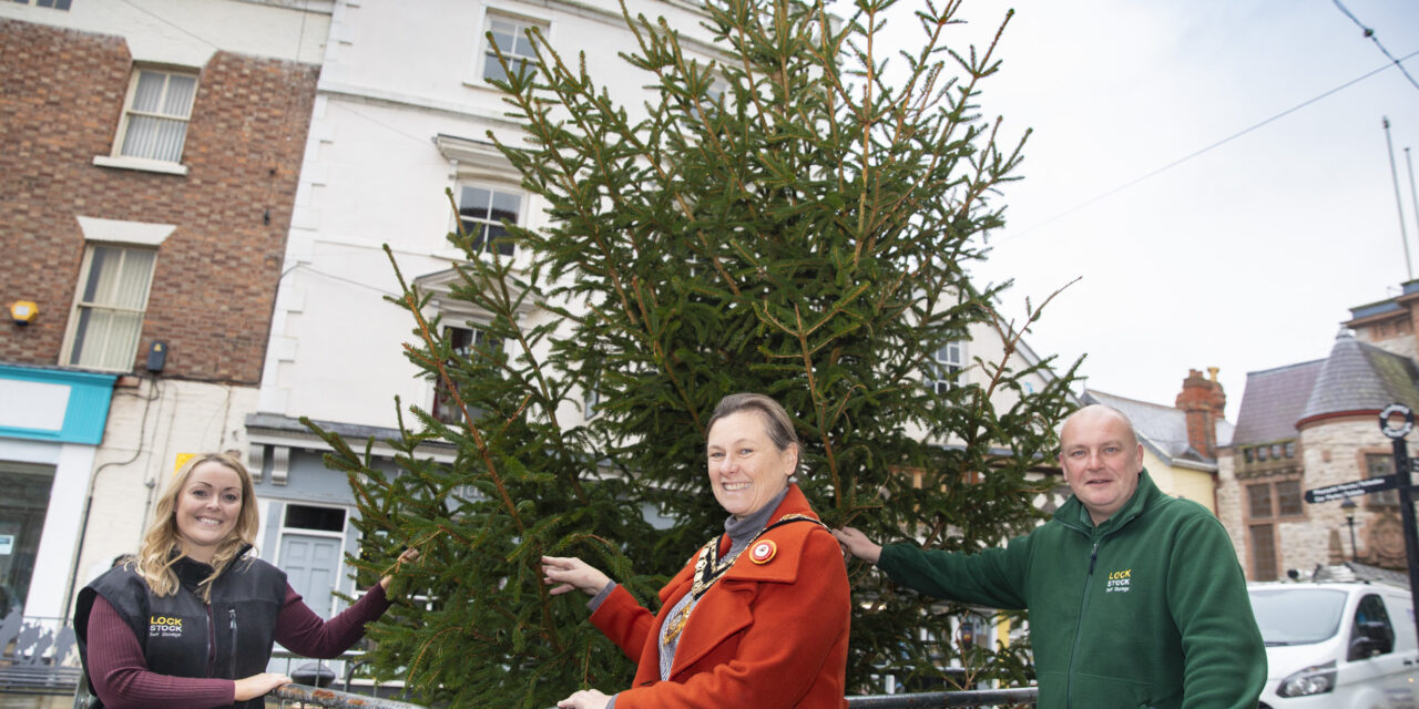 Storage giant steps in to provide Christmas tree greetings for Denbigh
