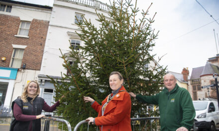 Storage giant steps in to provide Christmas tree greetings for Denbigh