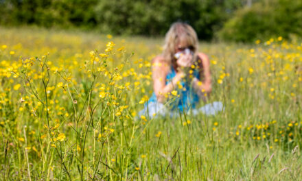 University experts on a mission to provide hay fever relief for millions