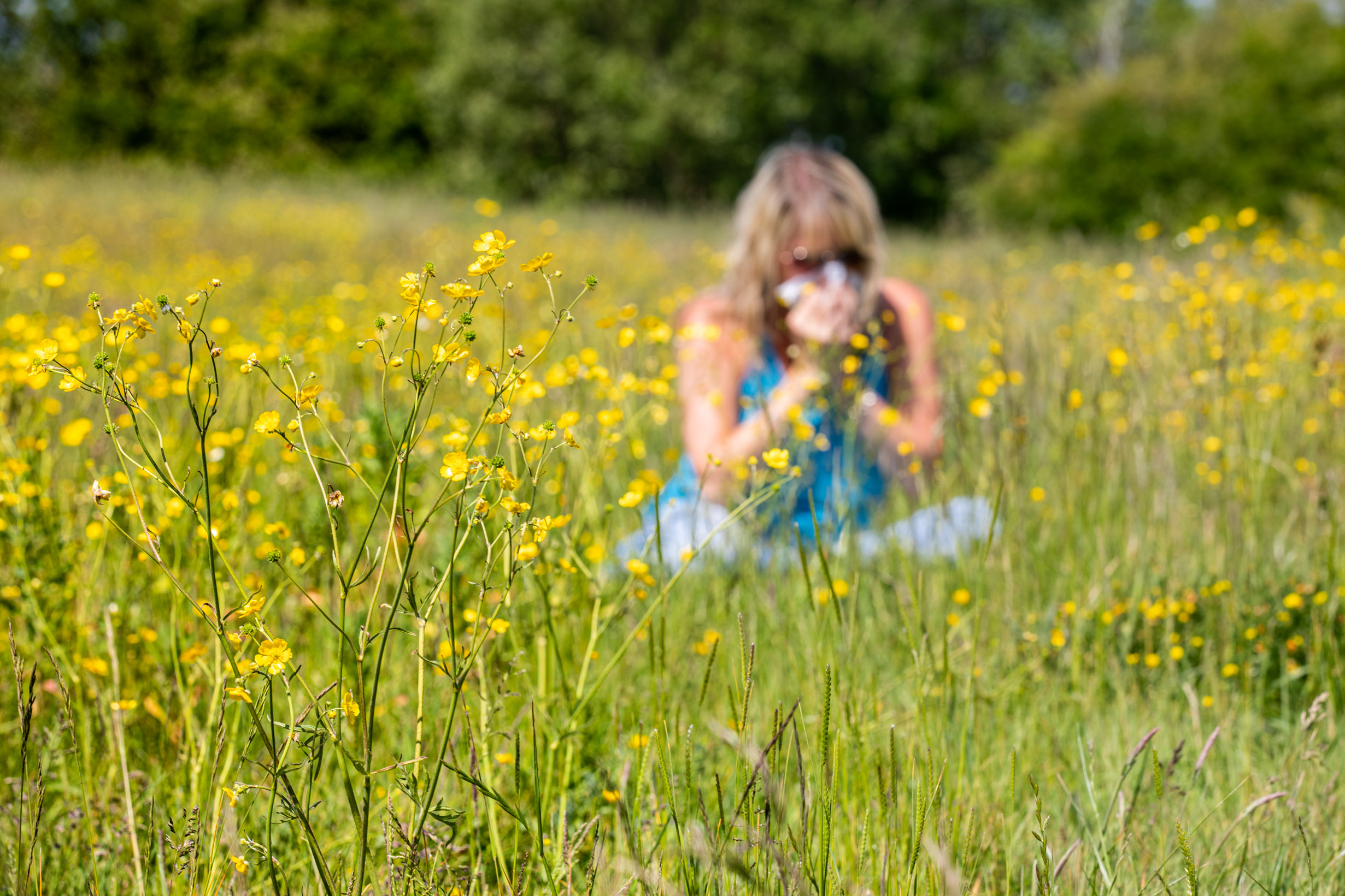 University experts on a mission to provide hay fever relief for millions