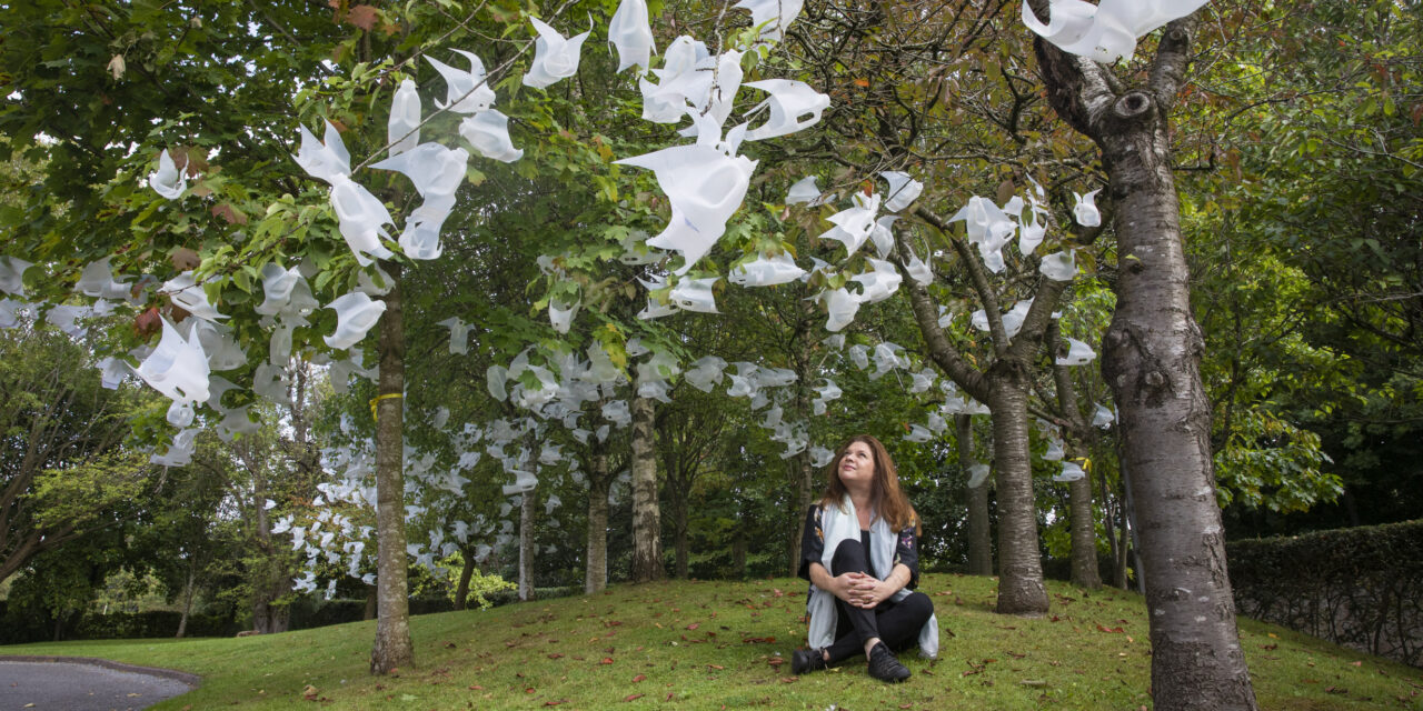 Recycled doves take flight to spread message of hope at care home