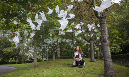 Recycled doves take flight to spread message of hope at care home