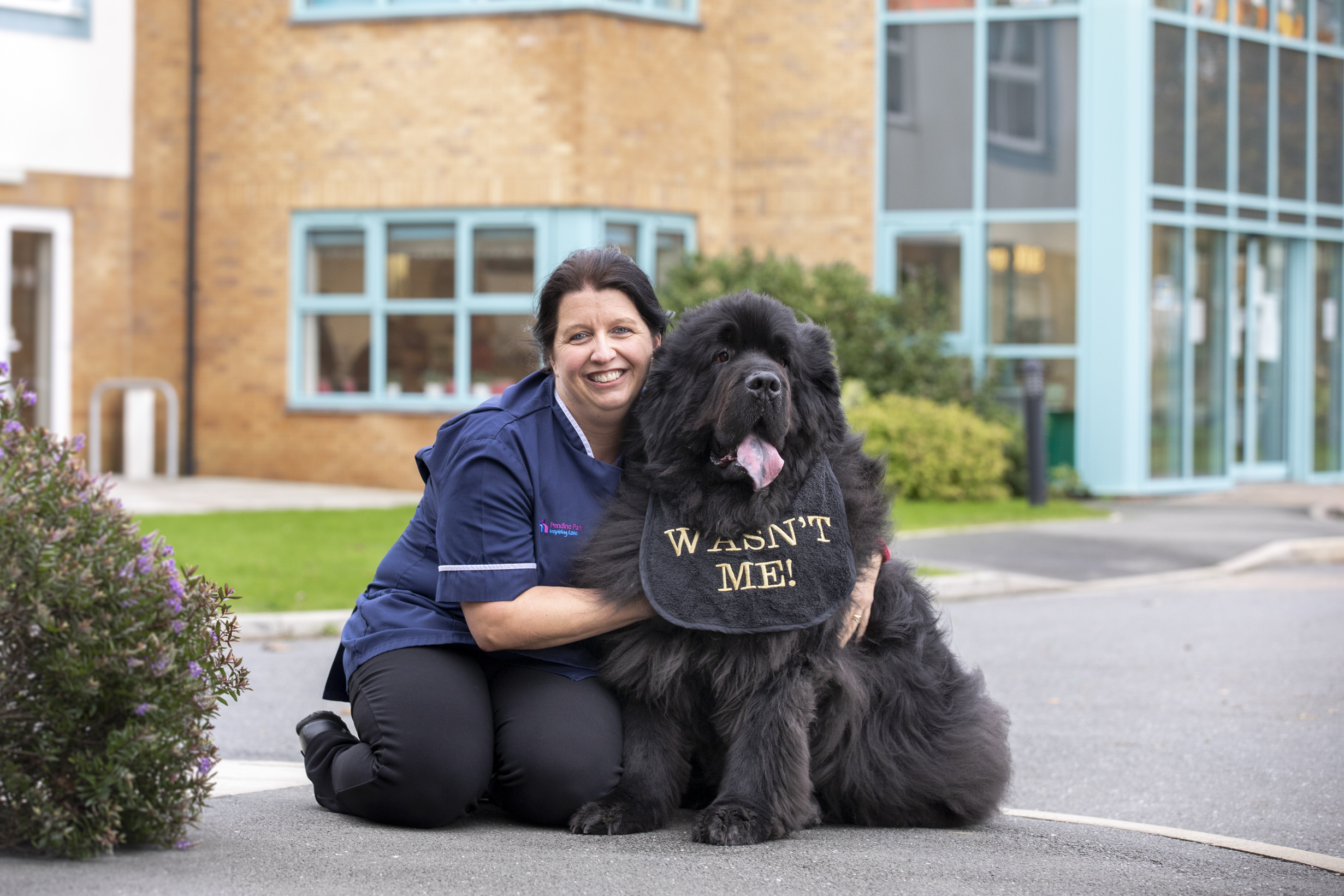 Giant dog Dash is a big winner