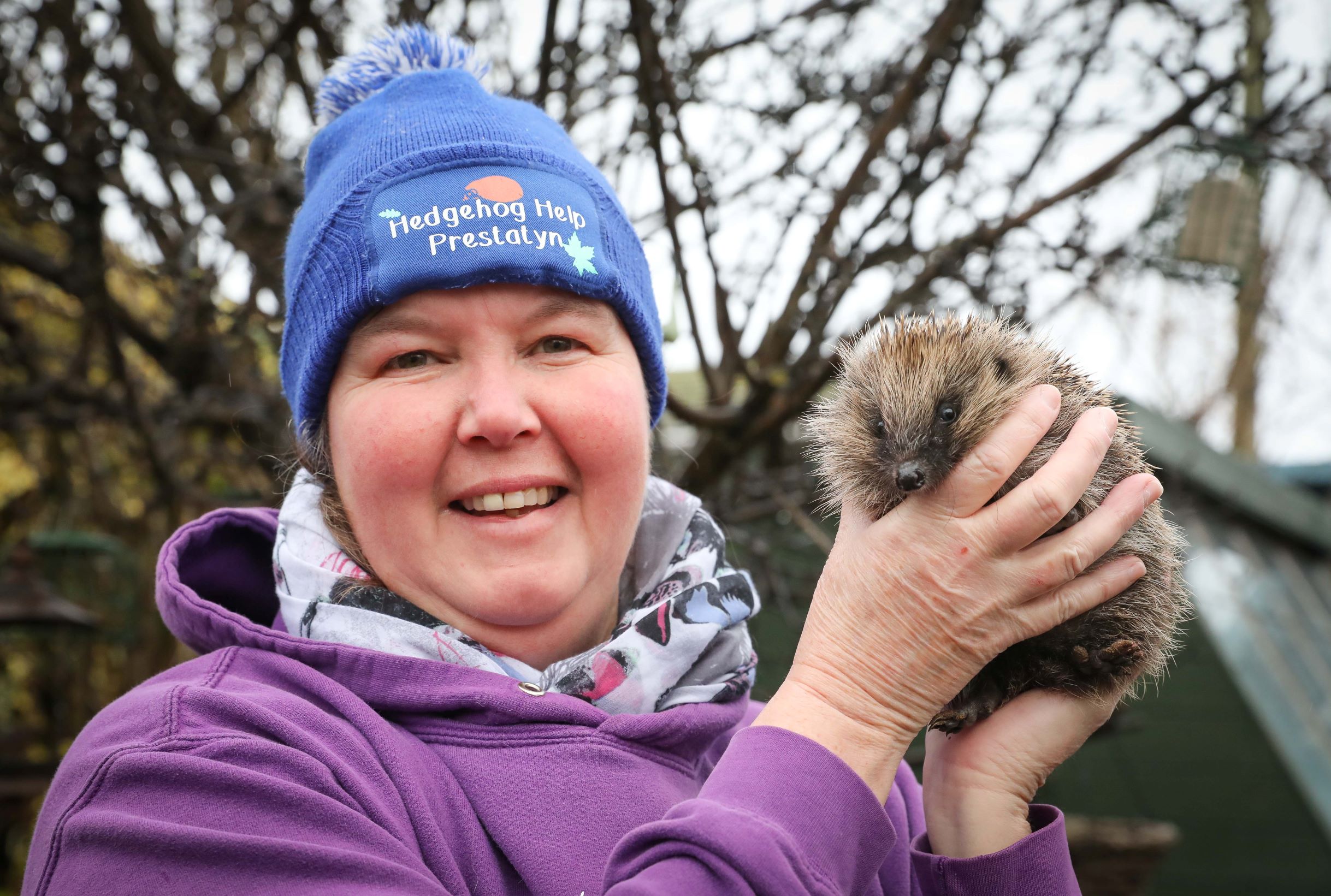 Endangered hedgehogs find a true friend in former nurse Tracy