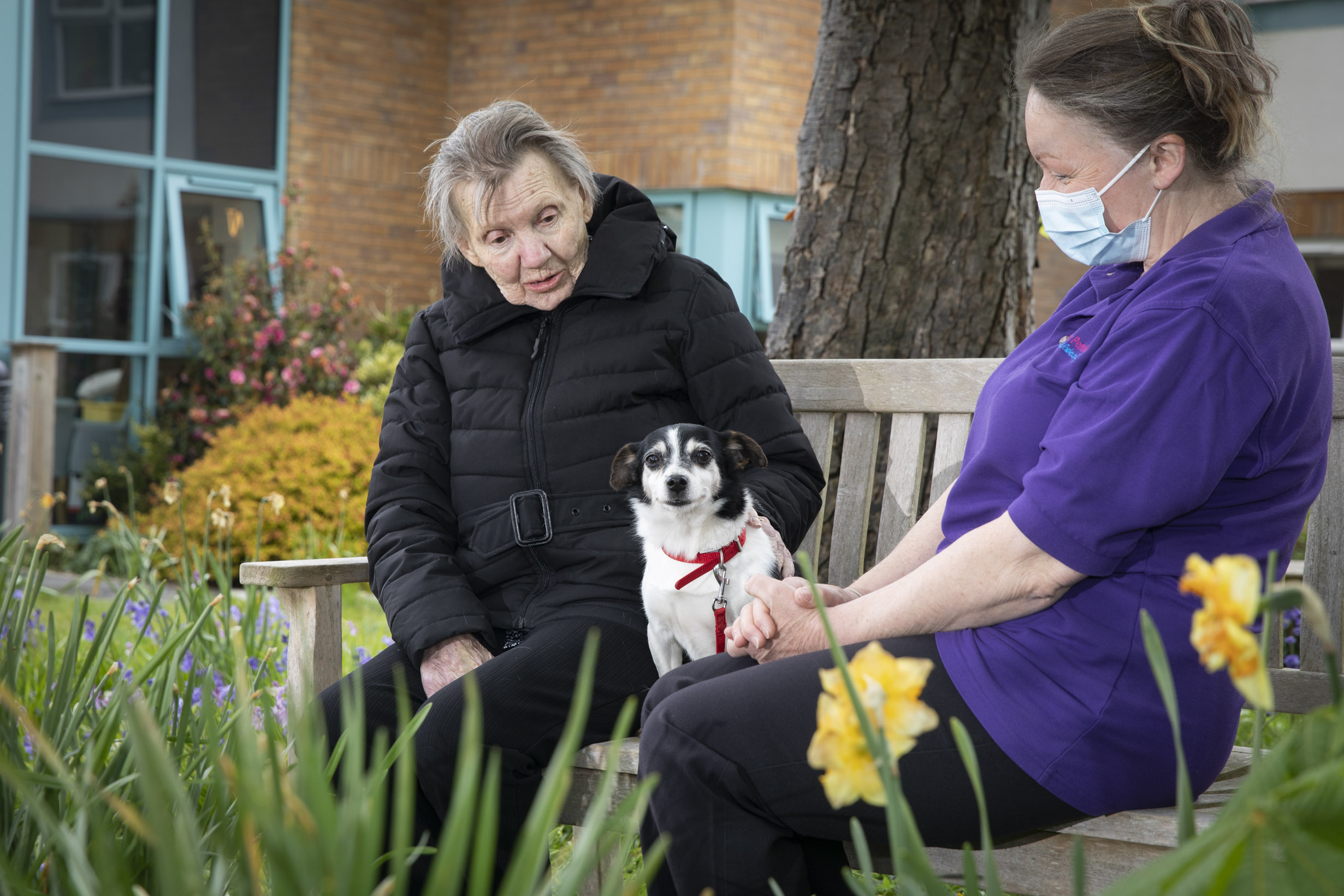 Everything is Rosie at care home where residents have a new four-legged friend