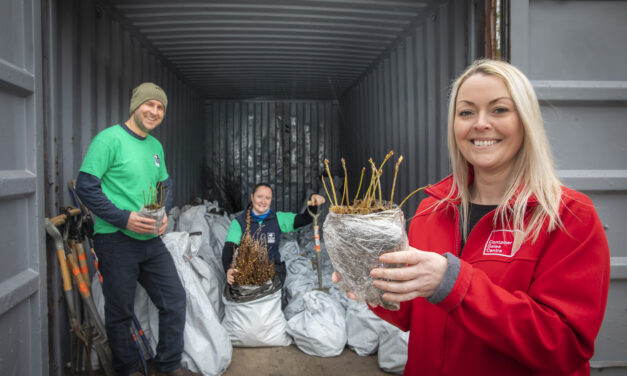 Forest of rare trees kept in the dark for major North Wales planting project