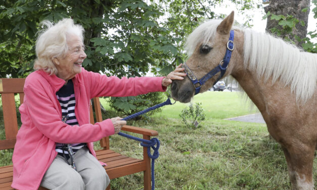 Raising charity funds is a piece of cake