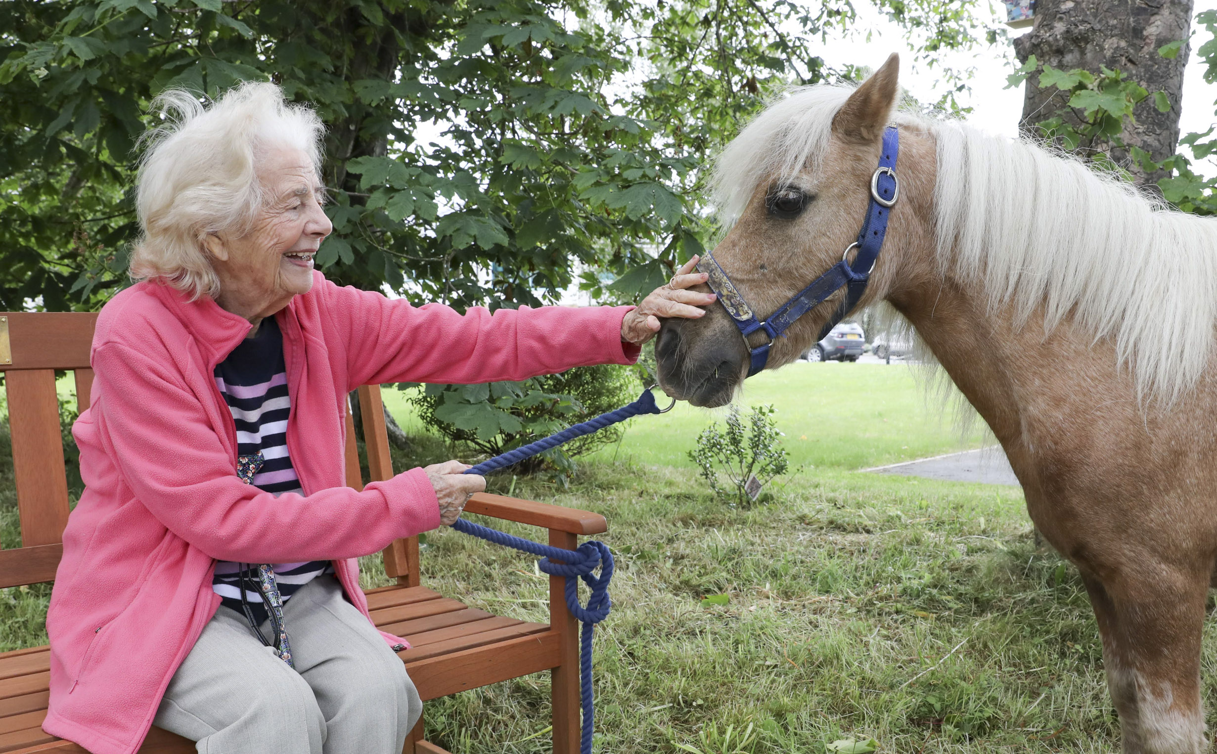 Raising charity funds is a piece of cake