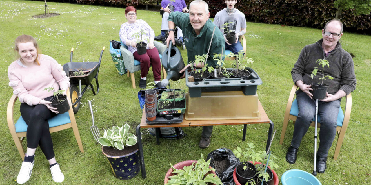 Salad days for green-fingered care home residents