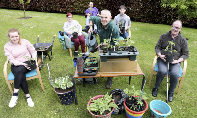 Salad days for green-fingered care home residents