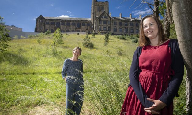 University’s pioneering meditation courses help NHS staff cope with pandemic stress