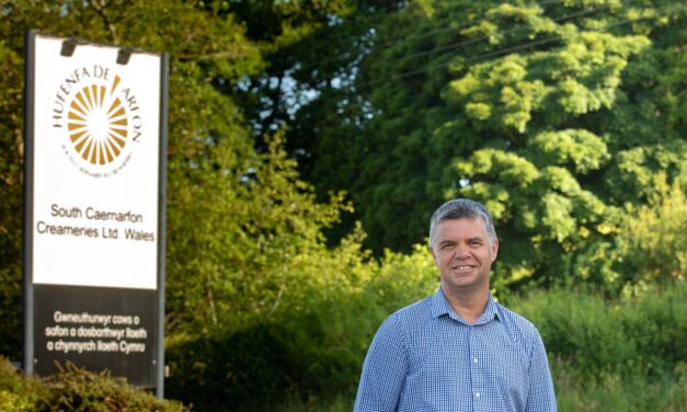 Top cheesemaker South Caernarfon announces record profits of £3.4M