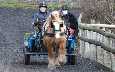 Matt’s in the driving seat for new challenge with horse and carriage