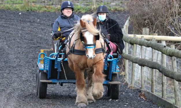 Matt’s in the driving seat for new challenge with horse and carriage