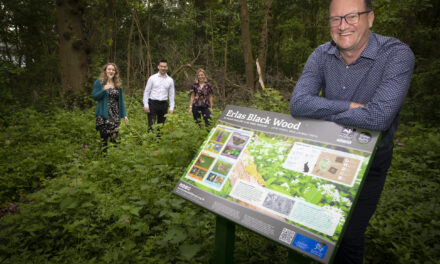 Take a walk on the wild side in secret forest on industrial estate