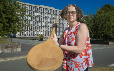 Wooden spoon for Flintshire Council after coming bottom in new “League of Shame”