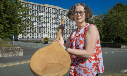 Wooden spoon for Flintshire Council after coming bottom in new “League of Shame”