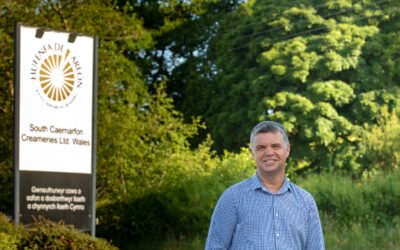 Top Welsh cheesemaker bounces back from pandemic with £71M record sales