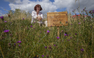 Time for the green dragon to roar