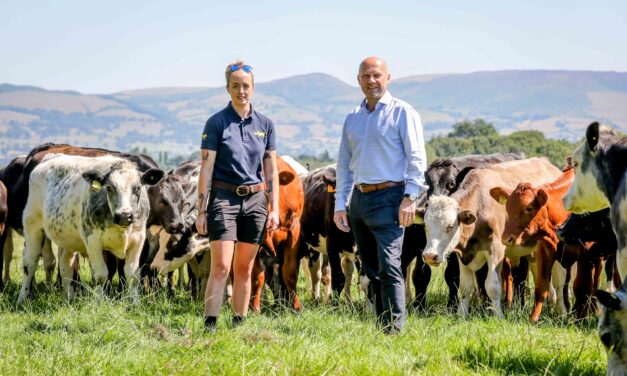 Ffion praises charity that helped her cope with the pressure of making farming pay