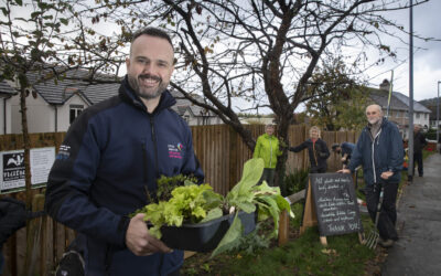 Plan Bee will boost flower power in Llandudno Junction