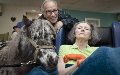 Magical moment when horse whisperer with dementia met tiny pony Dottie