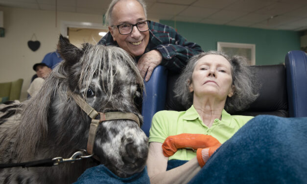 Magical moment when horse whisperer with dementia met tiny pony Dottie
