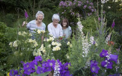 Llangollen Eisteddfod back “with bells and whistles” – and plenty of flower power